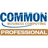 common business computing professional